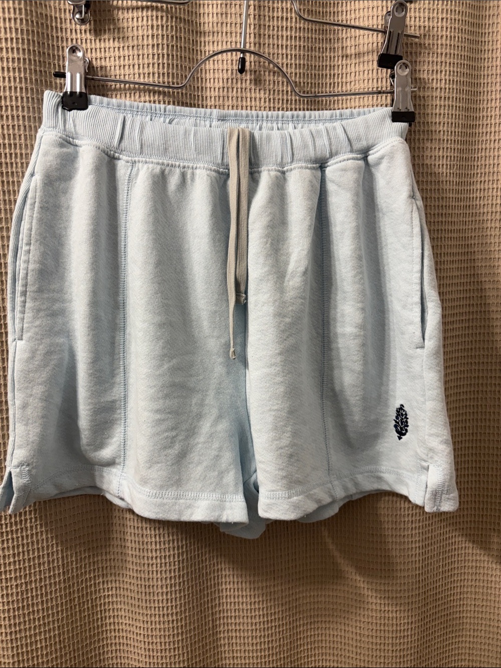 Free People Pale Blue Drawstring Shorts nwot